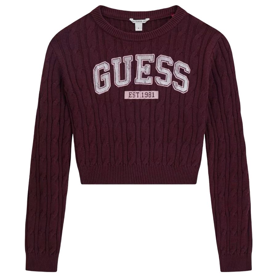  Guess Kids | J6YR11/Z0843A40T